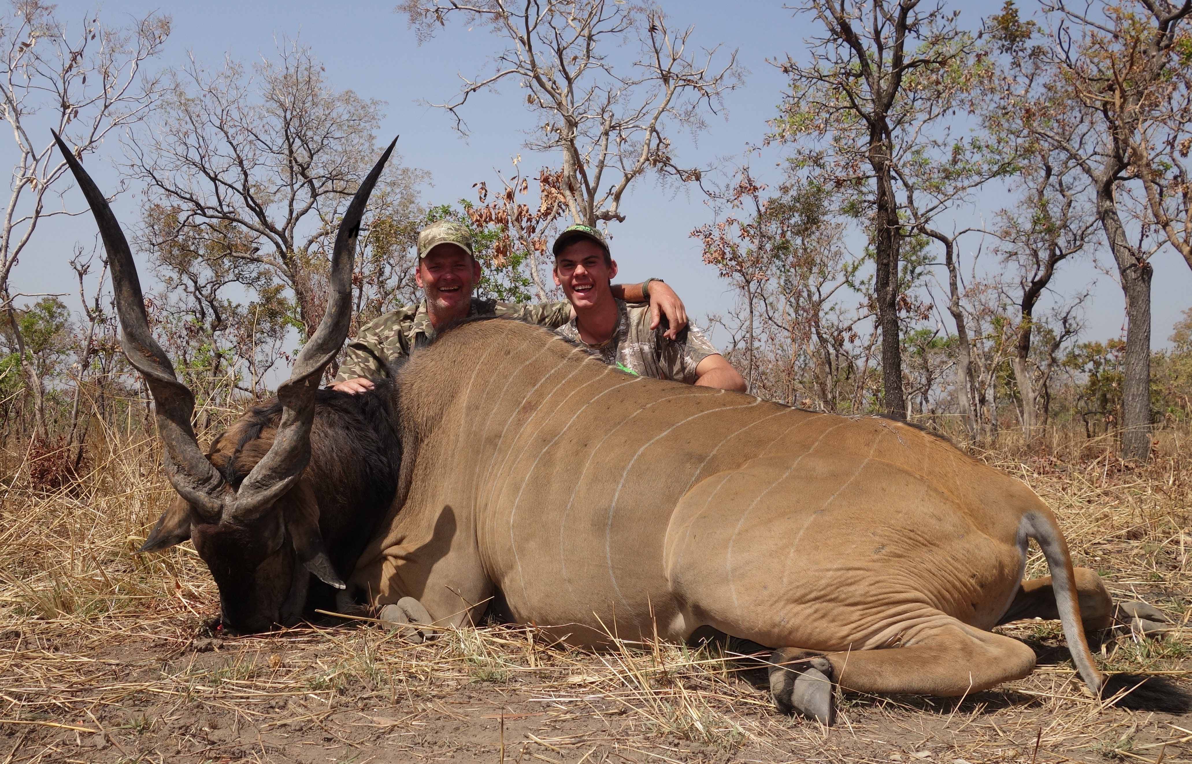 Lord Derby Eland